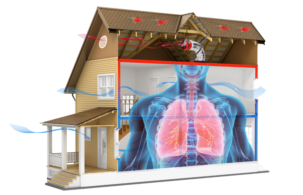 Give Your Home The Breath of Fresh Air That it Needs